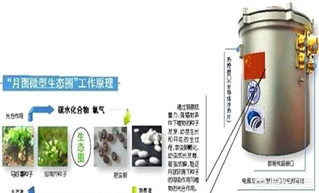 嫦娥直播_嫦娥直播app下载安装最新版本介绍