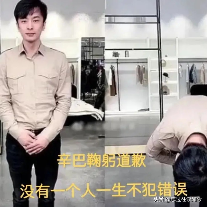 辛巴事件是怎么回事_辛巴事件怎么了