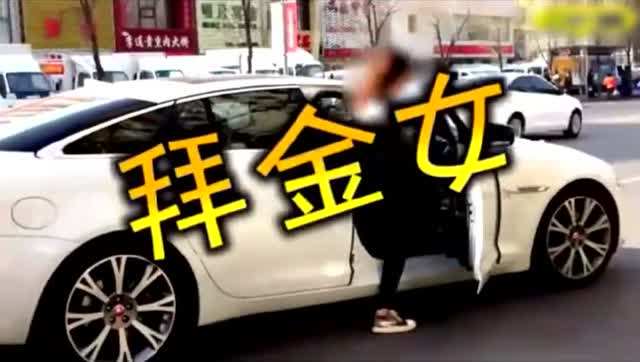 诗经名句窈窕淑女君子好逑蚂蚁_《诗经》名句“窈窕淑女,君子好逑”中