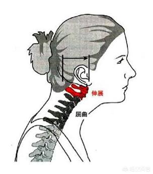 一天坐多久算久坐一族_一天坐多久算是久坐