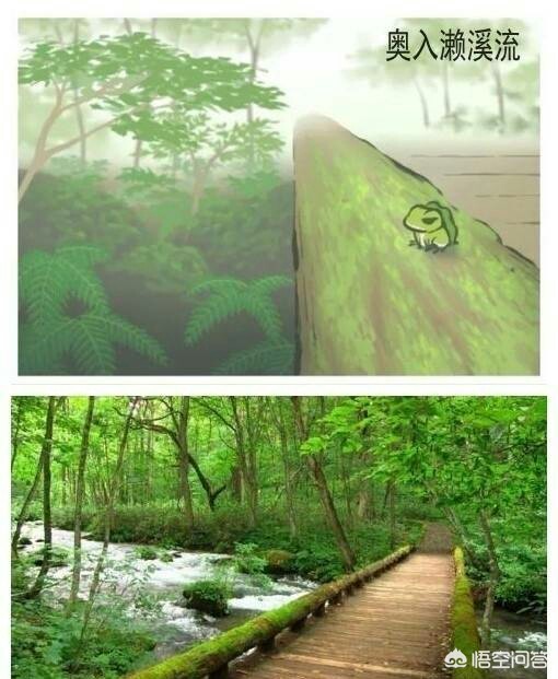 旅行青蛙 明信片_