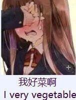 dnf暗帝技能_dnf暗帝技能加点