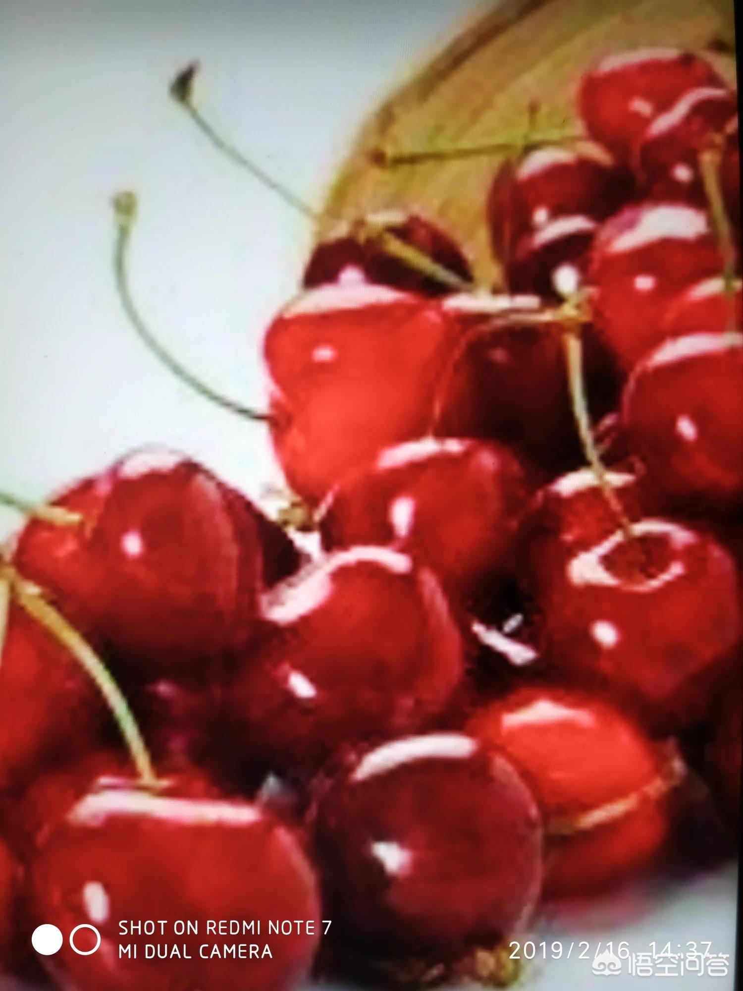 草莓视频app下载无限看_草莓视频app下载无限看苏州晶体公司