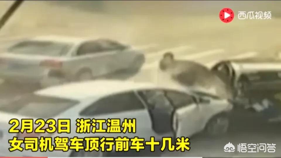 温州动漫节_温州动漫节2024