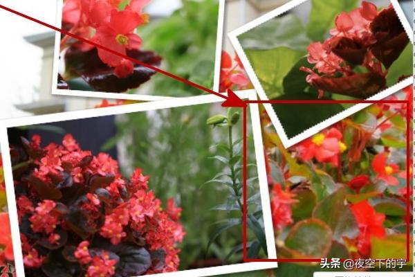 美图秀秀照片拼图_美图秀秀照片拼图软件下载