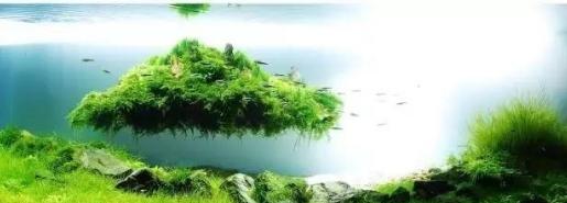 漂浮灵在哪_漂浮灵在哪里