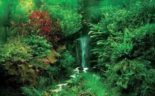 漂浮灵在哪_漂浮灵在哪里