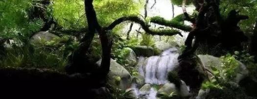 漂浮灵在哪_漂浮灵在哪里