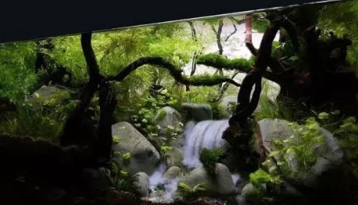 漂浮灵在哪_漂浮灵在哪里