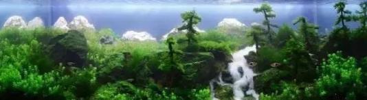 漂浮灵在哪_漂浮灵在哪里