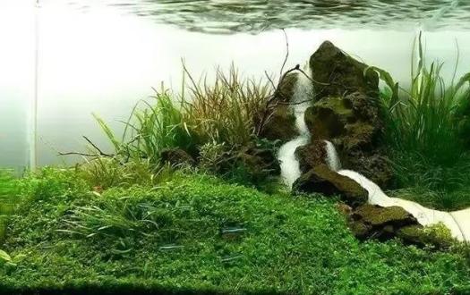漂浮灵在哪_漂浮灵在哪里
