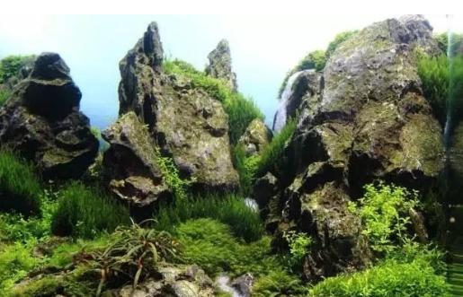 漂浮灵在哪_漂浮灵在哪里