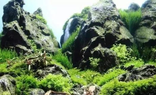 漂浮灵在哪_漂浮灵在哪里