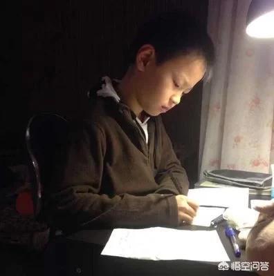 你爸在种枇杷树_你爸在种枇杷树是什么意思