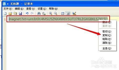 迅雷BT磁力在线种子搜索_迅雷bt磁力在线种子搜索神器