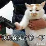 荒野大逃杀_荒野大逃杀电影免费观看