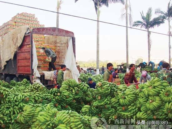 香蕉聊天赚钱_香蕉聊天赚钱是真的吗
