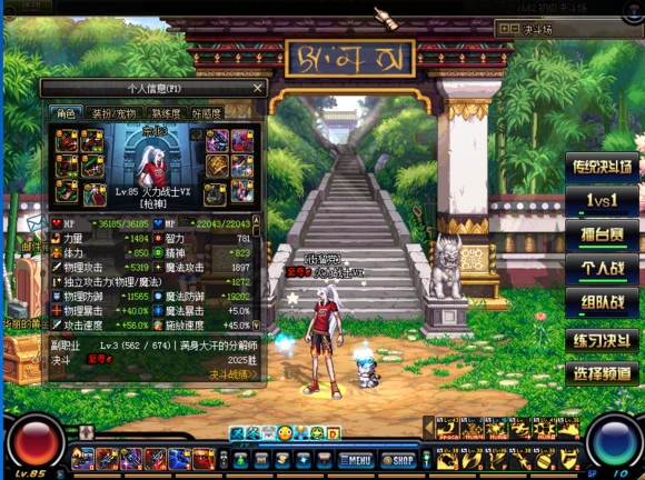 dnfpk最强职业_dnfpk最强职业排名