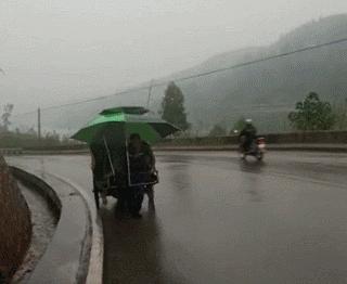 直接进入的免费正能量直播软件_直接进入的免费正能量直播软件有哪些