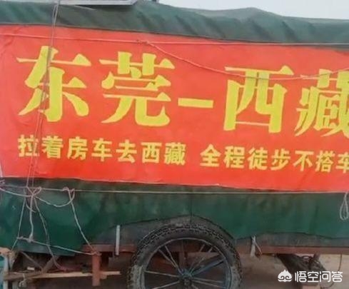直接进入的免费正能量直播软件_直接进入的免费正能量直播软件有哪些