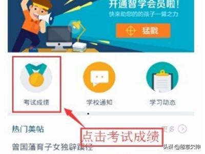 智学网在线成绩查询_智学网在线成绩查询入口学生端