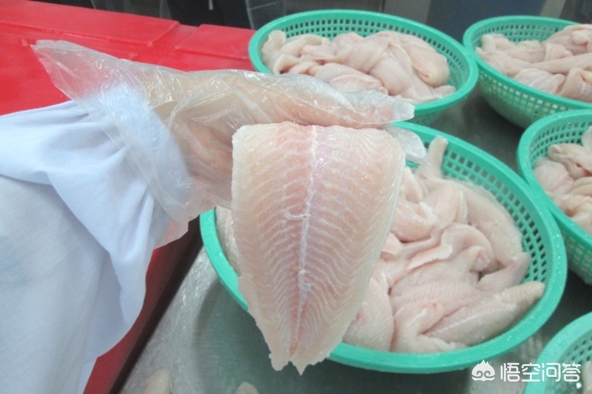 巴沙鱼片和龙利鱼片是一种鱼吗_巴沙鱼片和龙利鱼片是一种鱼吗图片
