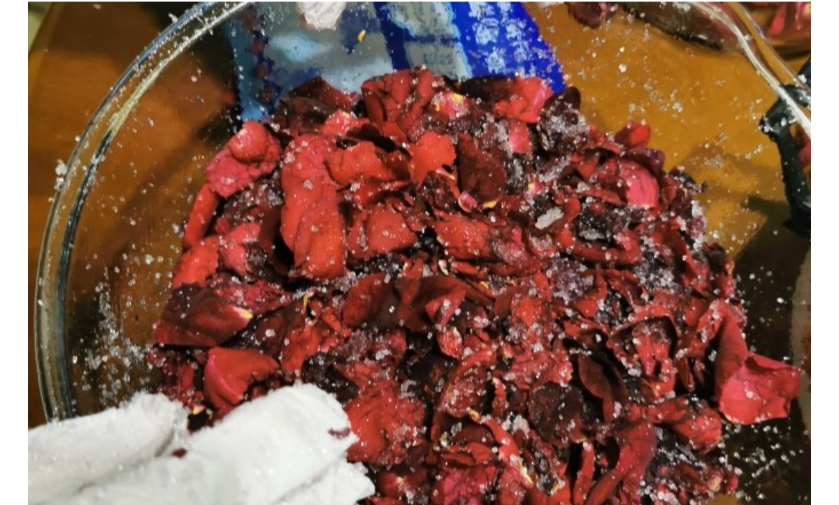 不需要糖和玫瑰_不需要糖和玫瑰只想疲惫时有你依偎