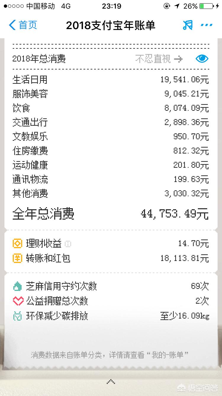 支付宝年度账单2019_支付宝年度账单2019年查询