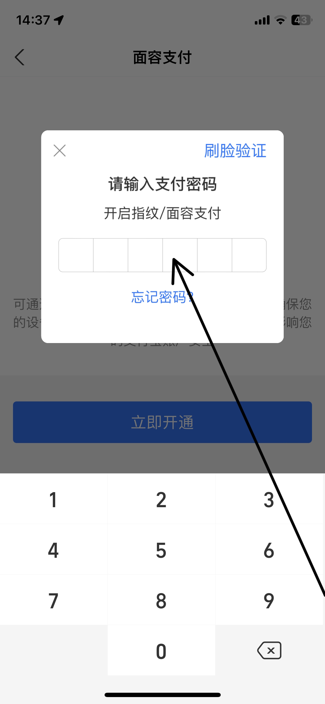 扫脸支付_扫脸支付在哪设置