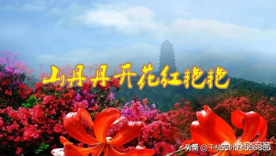 不妥当_不妥当是什么意思