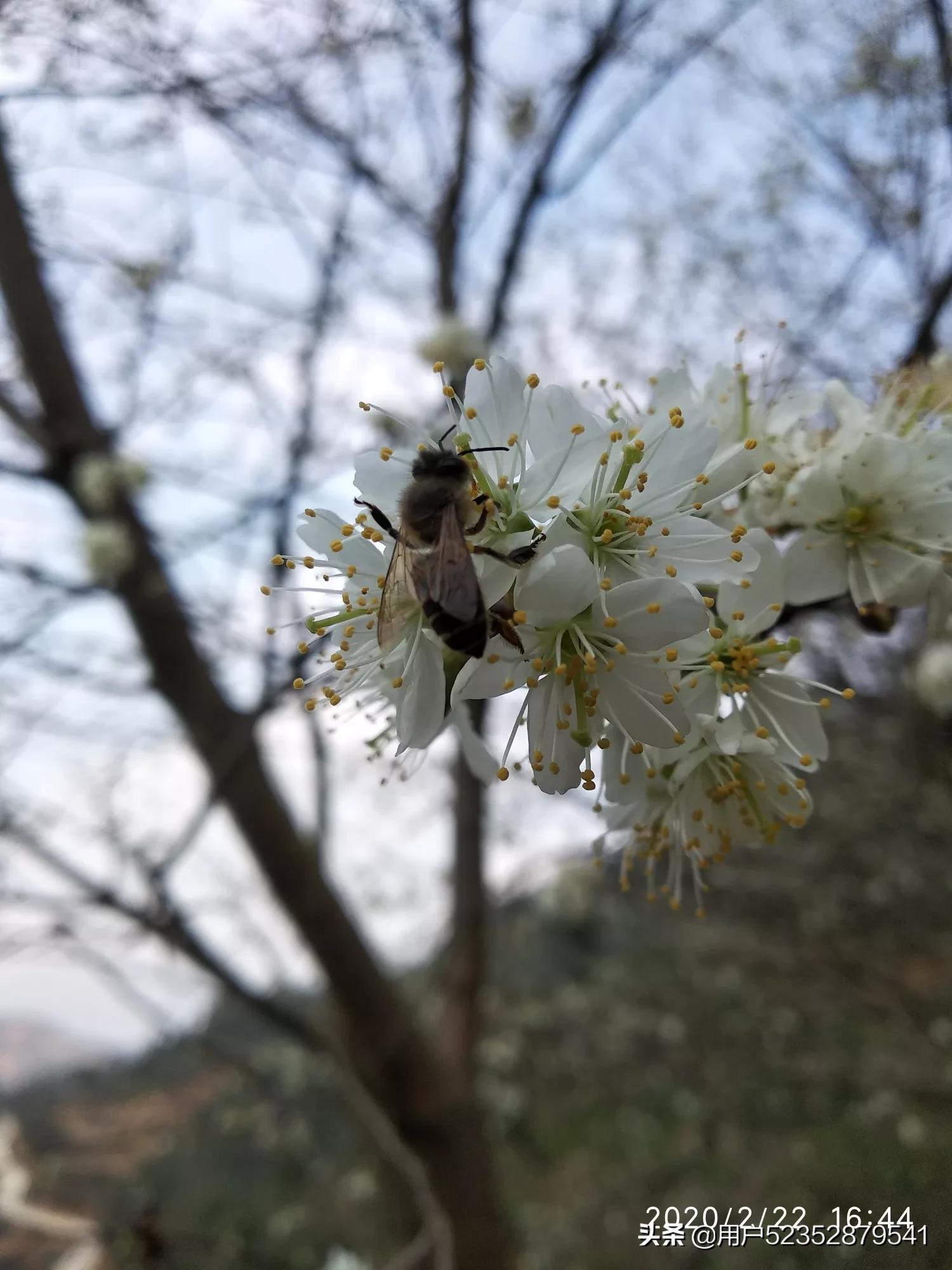 樱花校园模拟器生宝宝_樱花校园模拟器生宝宝难产