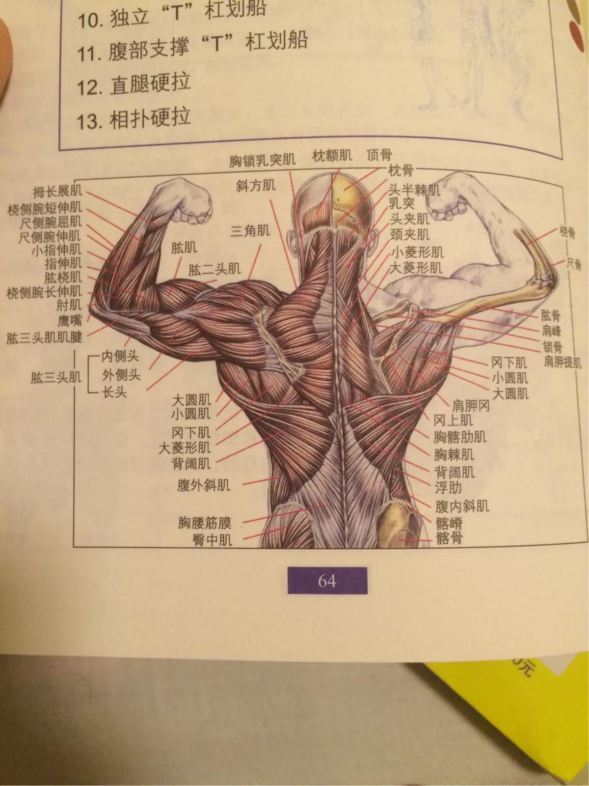 哪个动作更容易引起腰酸背痛_哪个动作更容易引起腰酸背痛呢