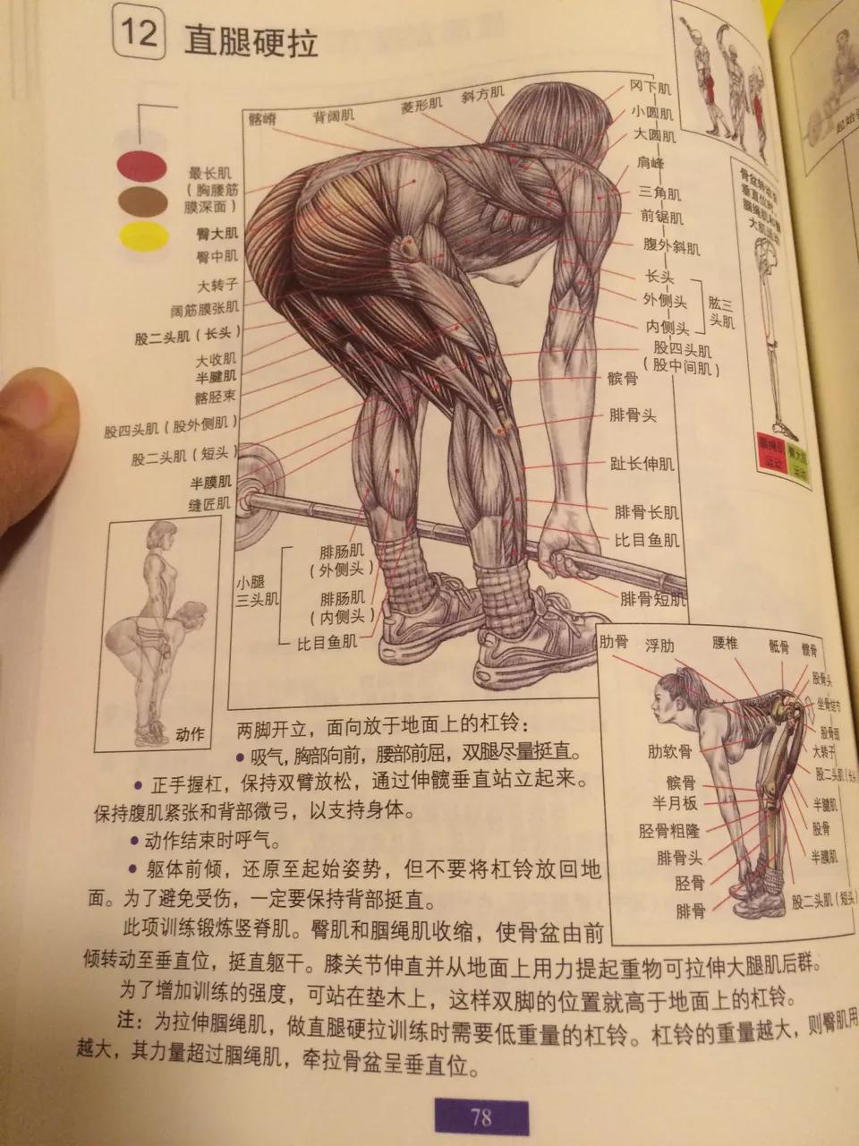 哪个动作更容易引起腰酸背痛_哪个动作更容易引起腰酸背痛呢