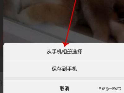 怎样制作闪图_怎样制作闪图照片