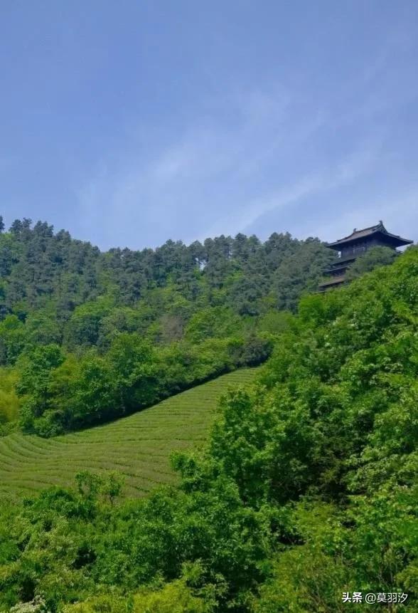李白名句相看两不厌蚂蚁庄园_李白名句解析