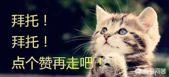 qq飞车大恶魔_qq飞车大恶魔能开出哪些永久