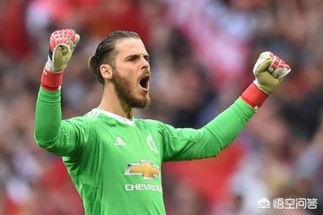 英雄联盟大脚战斗力查询_英雄联盟大脚是什么 英雄联盟大脚战斗力查询_英雄联盟大脚是什么