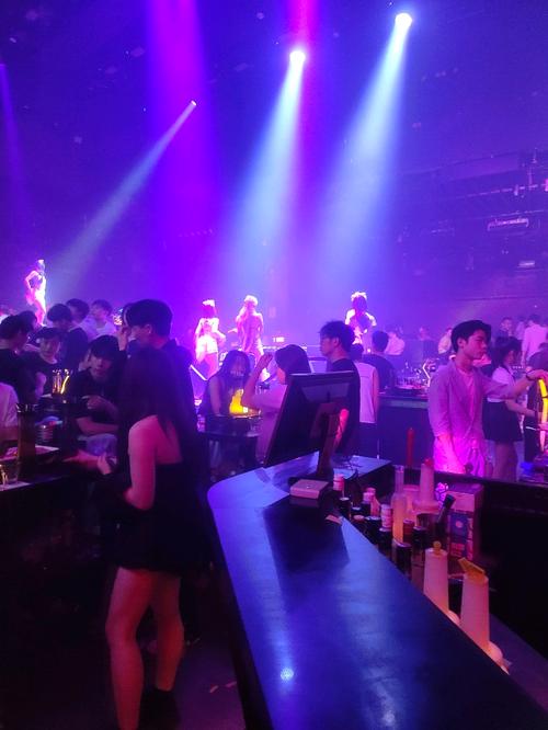 大鸟转转酒吧_大鸟转转酒吧在哪里