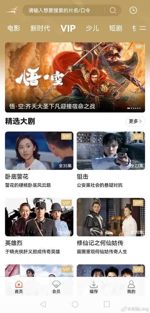 vip影院_vip影院免费vip电视剧