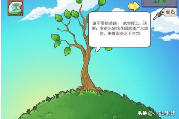 植物大战僵尸 智慧树_植物大战僵尸智慧树全部秘密