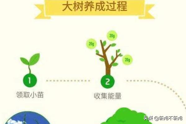 蚂蚁积分有什么用_蚂蚁积分有什么用处 蚂蚁积分有什么用_蚂蚁积分有什么用处