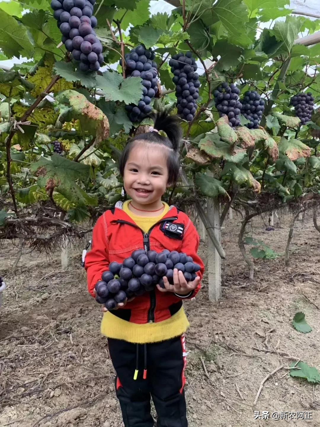 新年图片2020_新年图片2020壁纸 新年图片2020_新年图片2020壁纸