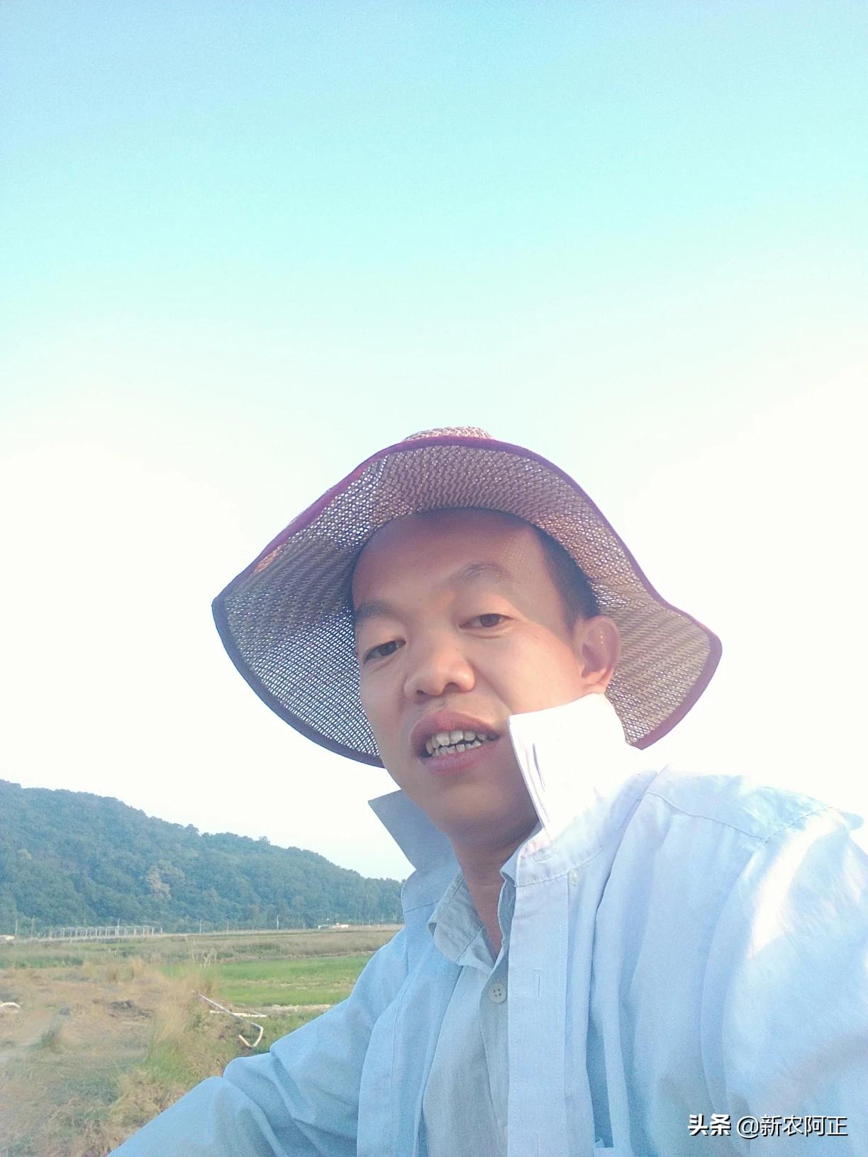 新年图片2020_新年图片2020壁纸 新年图片2020_新年图片2020壁纸