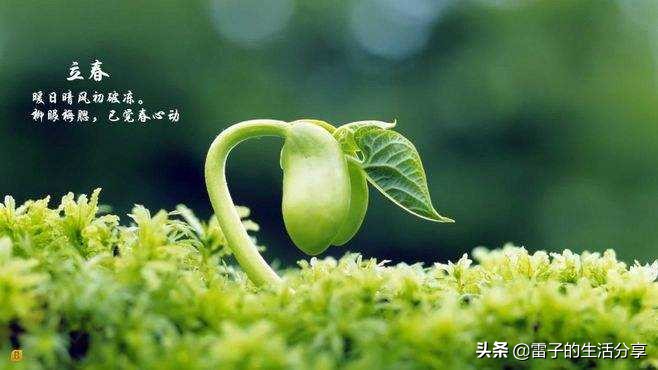 24节气是中国劳动人民独创的吗_24节气是我国劳动人民的