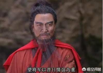 三国志2_三国志2单机版下载