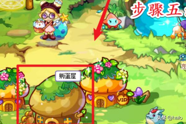 洛克王国怎么得阿布_洛克王国怎么得阿布技能