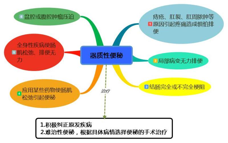 吃香蕉润肠蚂蚁庄园_吃香蕉润肠蚂蚁森林