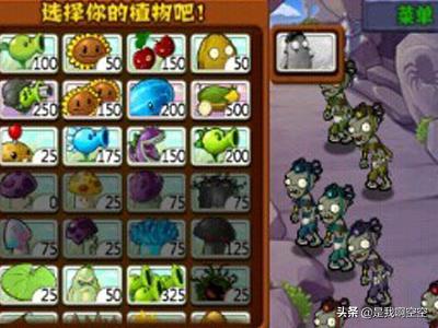 植物大战僵尸怎么玩_植物大战僵尸怎么玩所有关卡