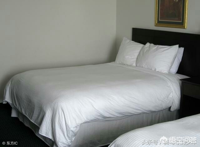 如鱼水是什么茶_如鱼水是什么茶品种