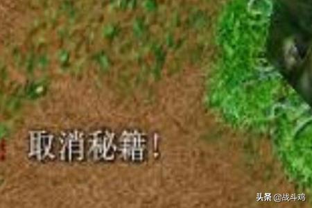魔兽秘籍怎么用_魔兽秘籍怎么用不了
